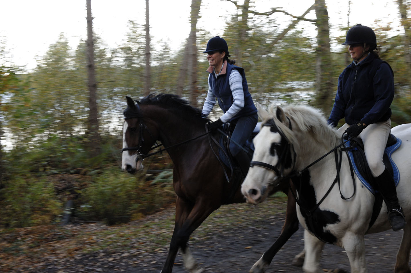 Delamere Forest - Bring Own Horse 